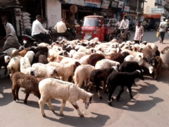 Pune Centre