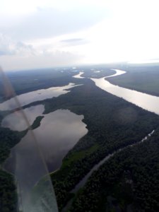 Delta Danube ULM