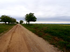 Campagne roumaine  la frontire Serbe