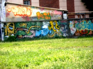 Timisoara, graff