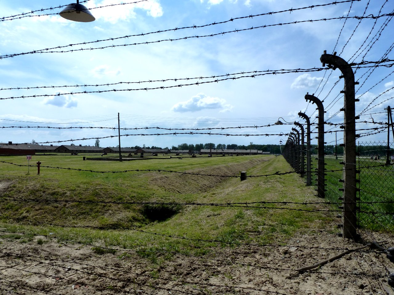 P1010915-Birkenau.JPG