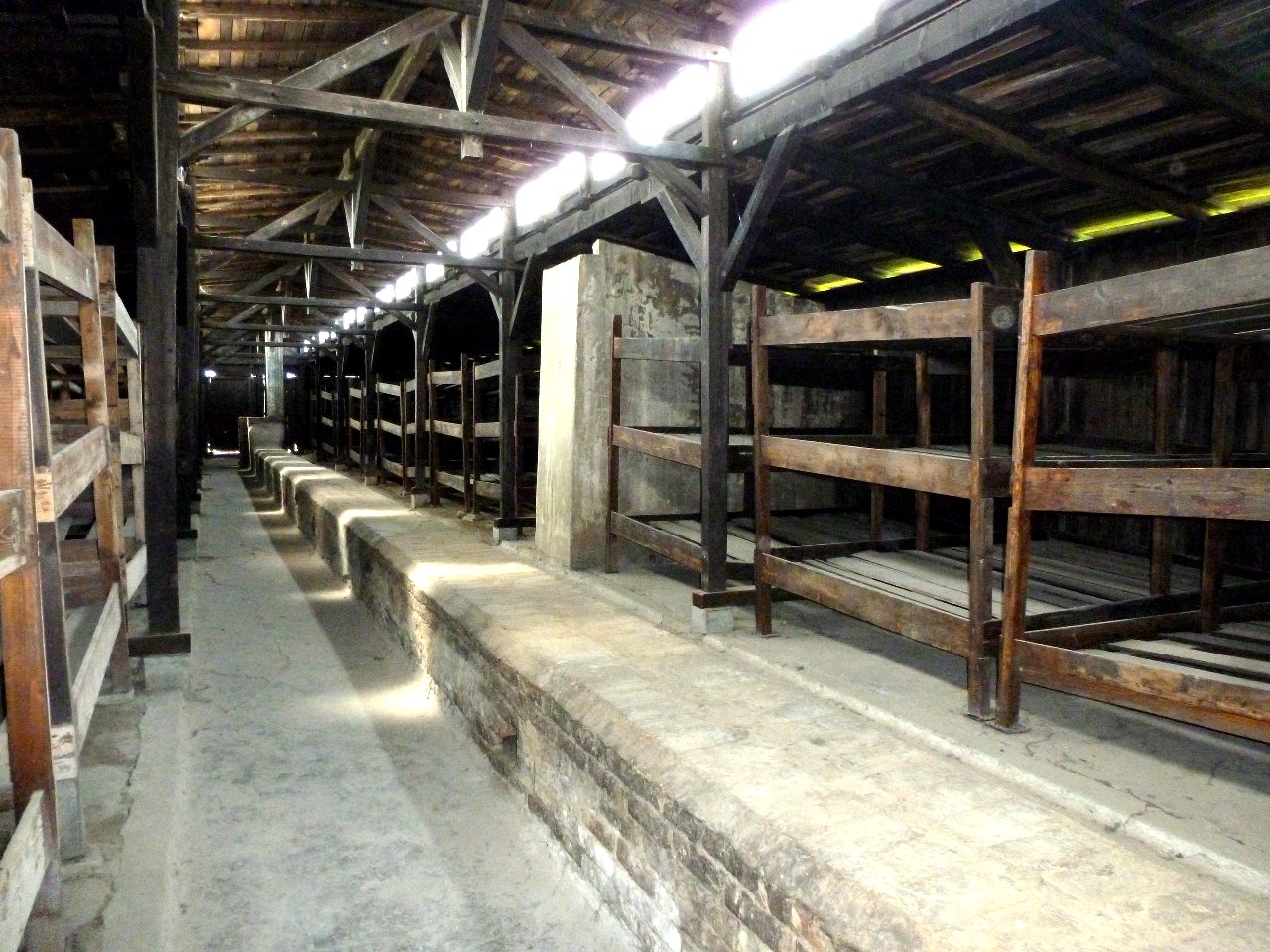 P1010939-block-hommes-Birkenau.JPG