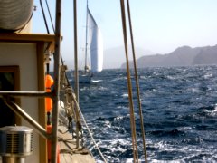 thumbs/transat-voile-Tigara-09-un-autre-depart.JPG