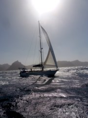 thumbs/transat-voile-Tigara-10-sous-genois-seul.JPG