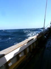 thumbs/transat-voile-Tigara-10b-a-blue-world.JPG