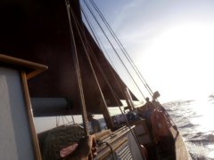 thumbs/transat-voile-Tigara-14-bref-passage-au-pres-trinquette.JPG