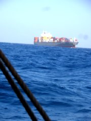 thumbs/transat-voile-Tigara-15-porte-container-en-panne.JPG