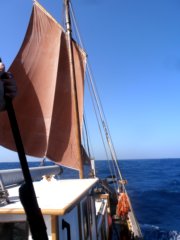 thumbs/transat-voile-Tigara-17-voile-au-tiers.JPG