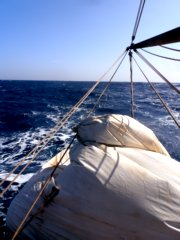 thumbs/transat-voile-Tigara-18-un-ulm-nous-suit.JPG
