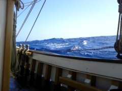 thumbs/transat-voile-Tigara-19-tous-petits-sur-la-grande-bleue.jpg