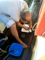 thumbs/transat-voile-Tigara-21-preparee-a-la-tahitienne.jpg