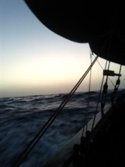 thumbs/transat-voile-Tigara-22-petit-matin.jpg