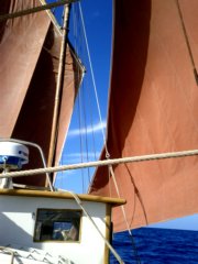 thumbs/transat-voile-Tigara-28-petole-on-monte-trinquette-en-mode-goelette.jpg