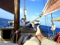 thumbs/transat-voile-Tigara-29-le-pied-marin.jpg