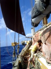 thumbs/transat-voile-Tigara-32-petits-travaux-sur-grand-voile.jpg