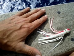 thumbs/transat-voile-Tigara-33-appat-tres-efficace-a-la-traine.jpg