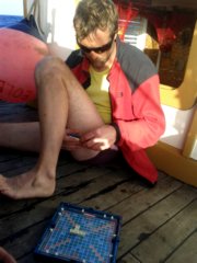 thumbs/transat-voile-Tigara-35-scrabble.jpg