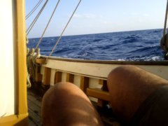 thumbs/transat-voile-Tigara-36-si-proche-de-l-eau-puissante.jpg