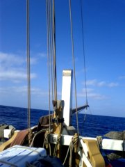 thumbs/transat-voile-Tigara-37-sans-vent-le-foc-bat-donc-on-l-ote.jpg