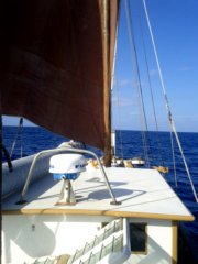 thumbs/transat-voile-Tigara-38-le-cylindre-contient-l-aile-du-pendulaire.jpg