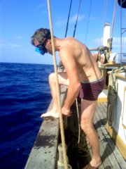 thumbs/transat-voile-Tigara-39-on-se-jette-a-l-eau.jpg