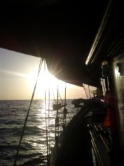 thumbs/transat-voile-Tigara-41-sunset.jpg
