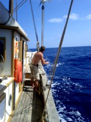 thumbs/transat-voile-Tigara-42-relever-la-ligne.jpg