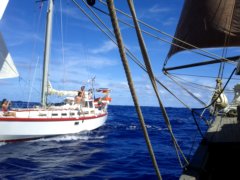 thumbs/transat-voile-Tigara-60-a-l-abordage.jpg