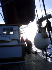 thumbs/transat-voile-Tigara-66-poor-lonesome-aviators.jpg