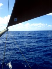 thumbs/transat-voile-Tigara-68-le-foc-est-4metres-devant.jpg