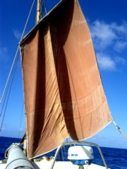 thumbs/transat-voile-Tigara-77-toujours-au-portant.jpg