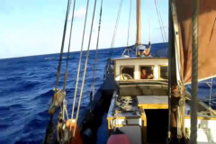 video du Tigara