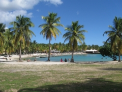 thumbs/sailing_guadeloupe_ovni_39_img_4345.jpg