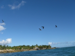 thumbs/sailing_guadeloupe_ovni_39_img_4353.jpg