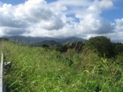 thumbs/sailing_guadeloupe_ovni_39_img_4421.jpg