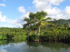 thumbs/sailing_guadeloupe_ovni_39_img_4479.jpg