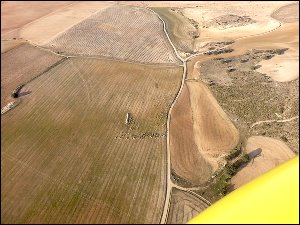 20151216_161547-moutons-Castilla-Mancha