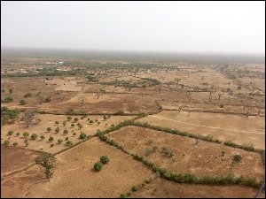 20151224_120218-Baobabs