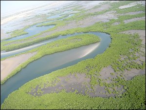 20151230_094917-mangrove-Sine-Saloum