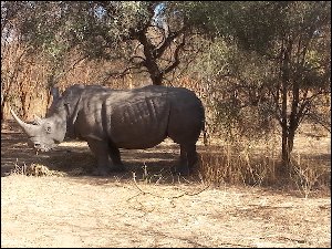 20160106_101402-parc-animalier-Bandia