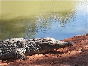 20160106_113358-parc-animalier-Bandia