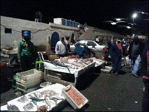 thumbs/20160115_184922-etal-poisson-Essaouira.jpg