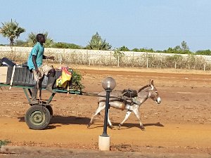 autogire-Saly-20160427_090236-vehicule-africain