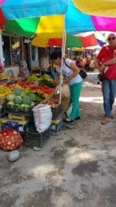 20160715_130246-marche-village