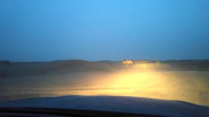 20160720_210148-chameau-dans-phares