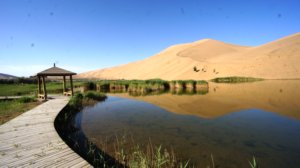 DSC09874-lac-de-desert