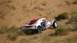 DSC09928-Buggy