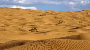 DSC09968-Baidan-Jaran-desert