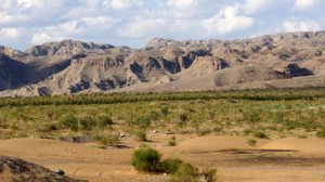 DSC09970-desert-Gobi