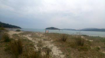 plage-arasu
